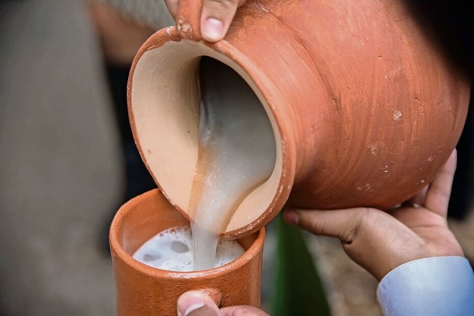 Estos son los beneficios del pulque. Foto: Archivo / EL UNIVERSAL 