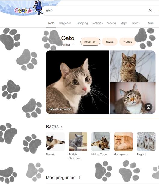 Puedes jugar las veces que quieras y reiniciar el efecto. Foto: Google