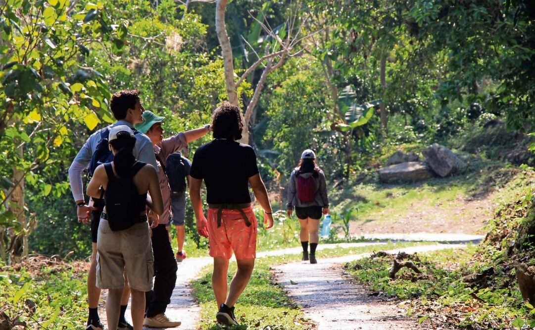 Xicotepec, municipio ubicado en la sierra norte de Puebla, es un lugar de magia, cultura y riqueza natural que ofrece a los visitantes alrededor de 110 kilómetros de bosque de niebla. Foto: Omar Contreras / EL UNIVERSAL