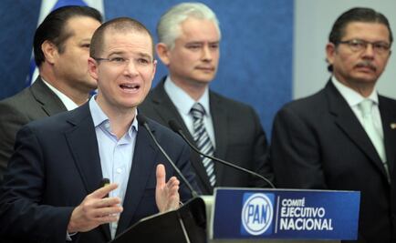 Propone PAN reformar esquema de seguridad pública