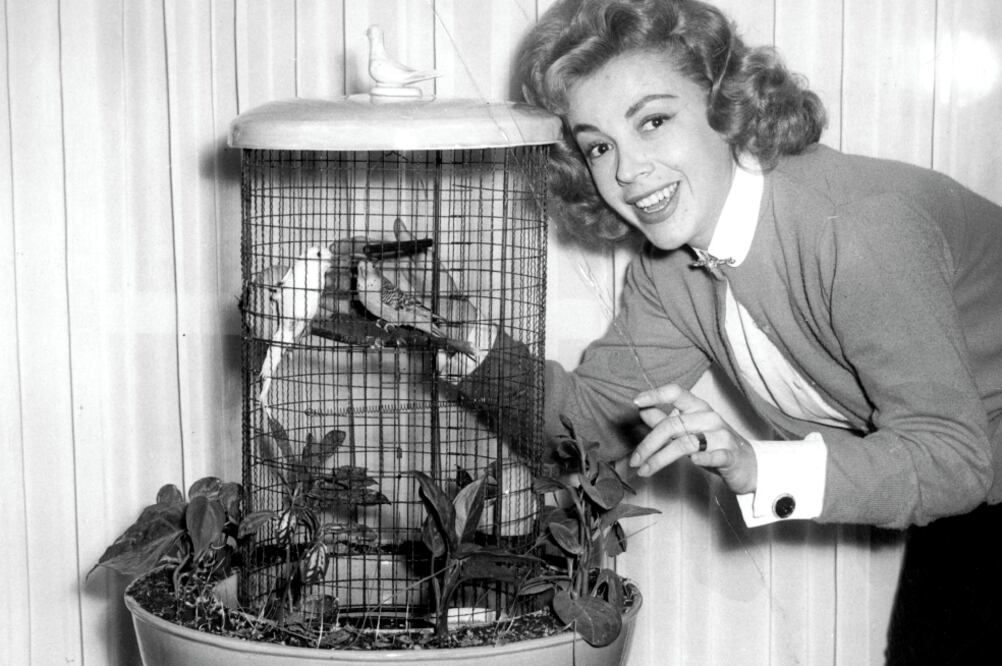 Comenzó su carrera a los 19 años a pesar de la oposición de su padre. (FOTOS: ARCHIVO EL UNIVERSAL)