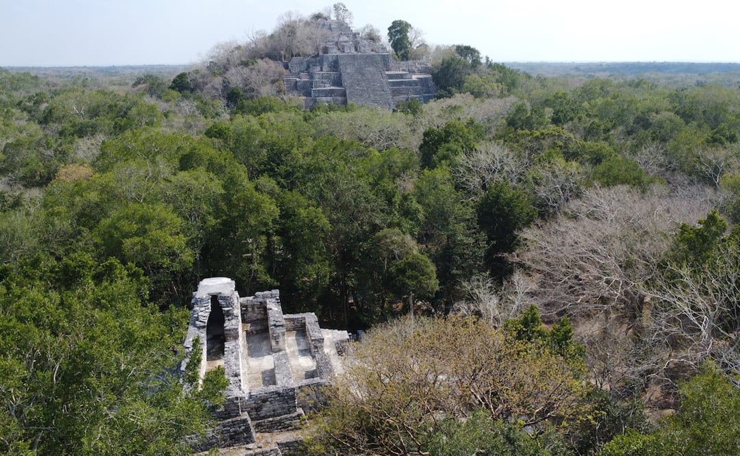 La zona arqueológica está dentro de la biósfera de Calakmul, en un sitio de casi 70 kilómetros cuadrados que fue una sede del poderío maya. Foto: Diego Prado / EL UNIVERSAL
