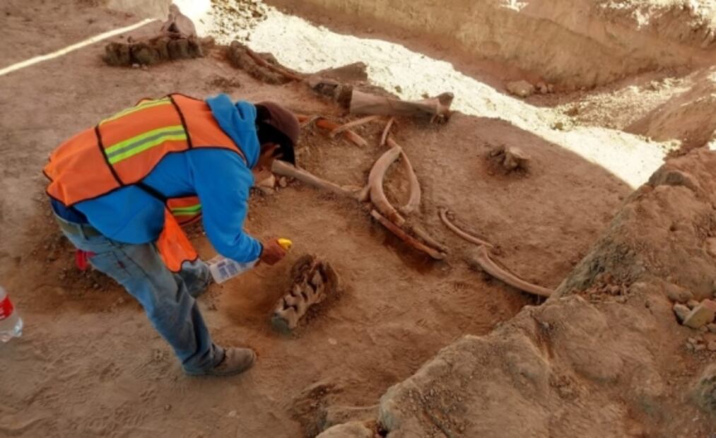 Mexican archeologists discover trove of mammoth remains in Santa Lucía
