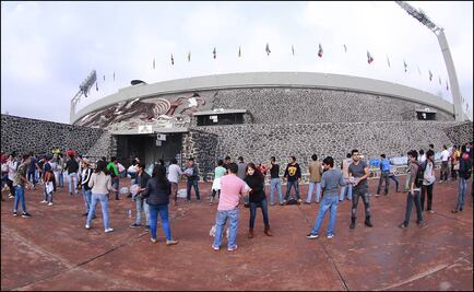 Los Pumas harán una colecta interna