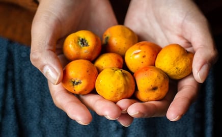 Para qué sirve el tejocote