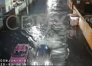 Lluvia y granizo tiran árboles y bardas en CDMX