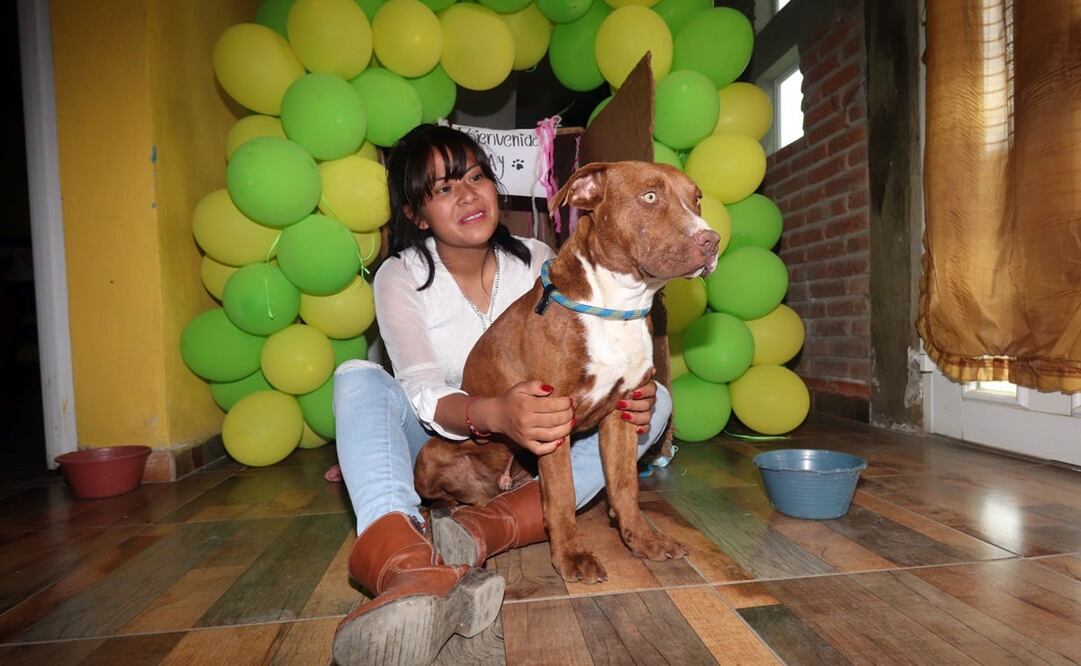 Foto: Omar Contreras / EL UNIVERSAL