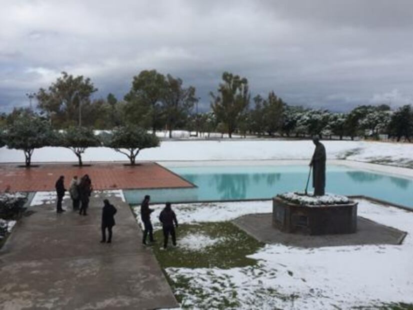 Tras 20 años, nevada sorprende a Torreón