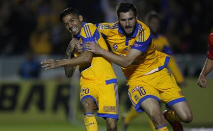 Tigres ruge en el Volcán