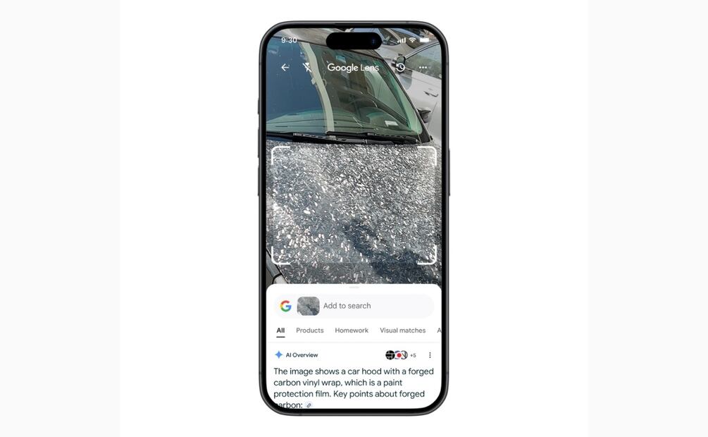 Google Lens. Imagen: especial