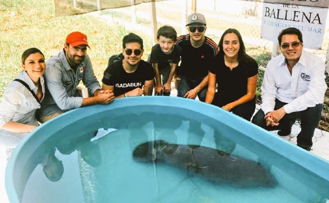 Tabata Jalil, Arturo Islas, Víctor González, Facundo e hijo, Paola Zurita y Ernesto Zazueta con un manatí (FOTO: especial)