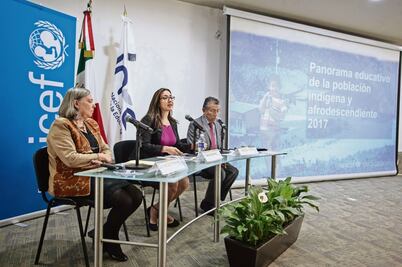 Analfabetismo es tres veces mayor en población indígena: INEE