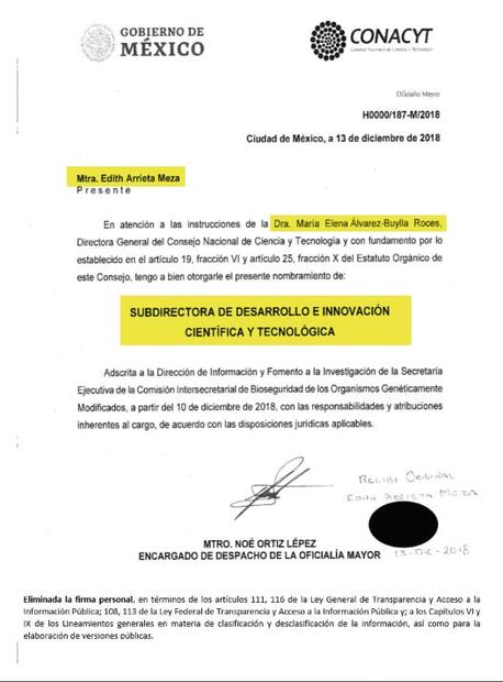 Revelan que directora de Conacyt sí contrató a diseñadora de moda