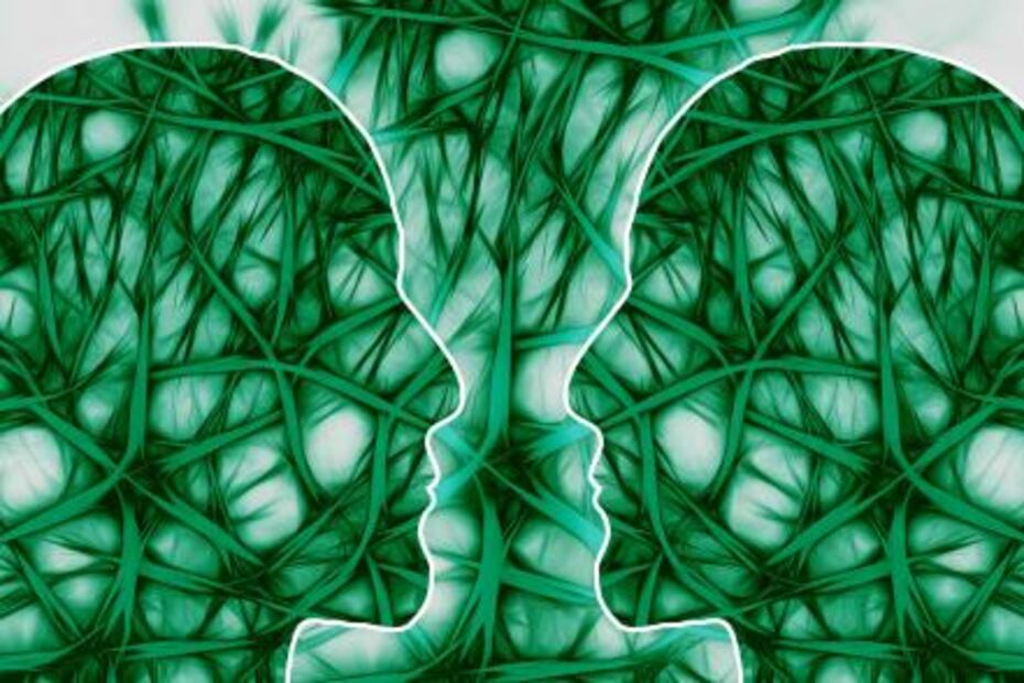 Alimentación adecuada para las neuronas