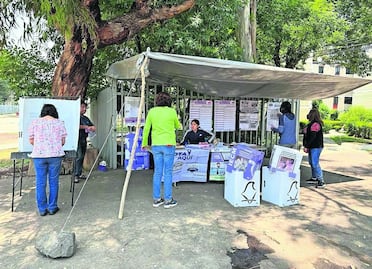 Elecciones 2024: Alarma violencia política; en 12 estados hay riesgo para candidatos, según Coparmex