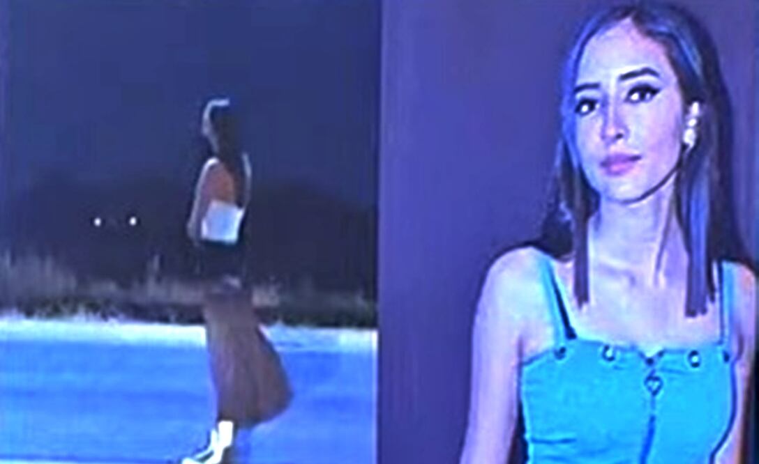 “La Fiscalía General de Nuevo León se allanó a esta facultad de atracción por lo cual ya el asunto esta en manos de la Fiscalía General de la República", dijo Mejía. Foto: especial