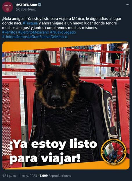 Foto: Captura