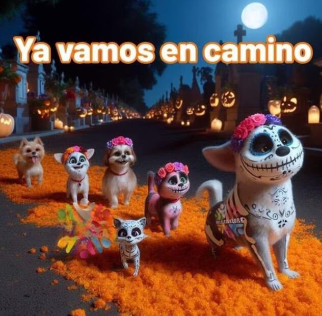 Vía Twitter.
