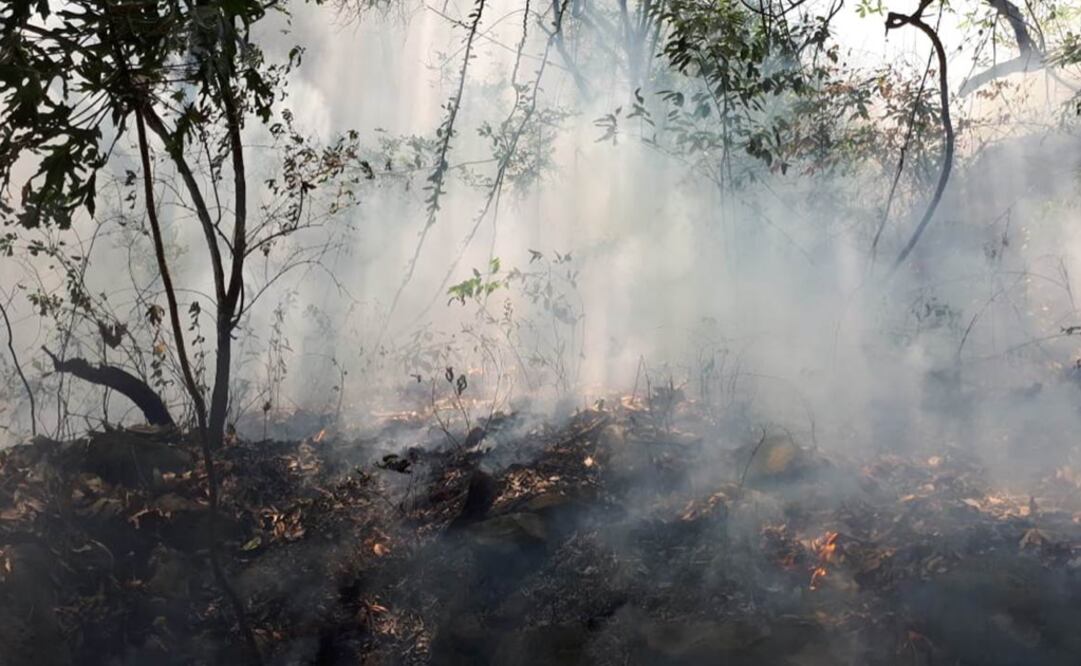 inhabitants revealed the woman provoked the fire while filming content for her social media - Photo: Feature Photography