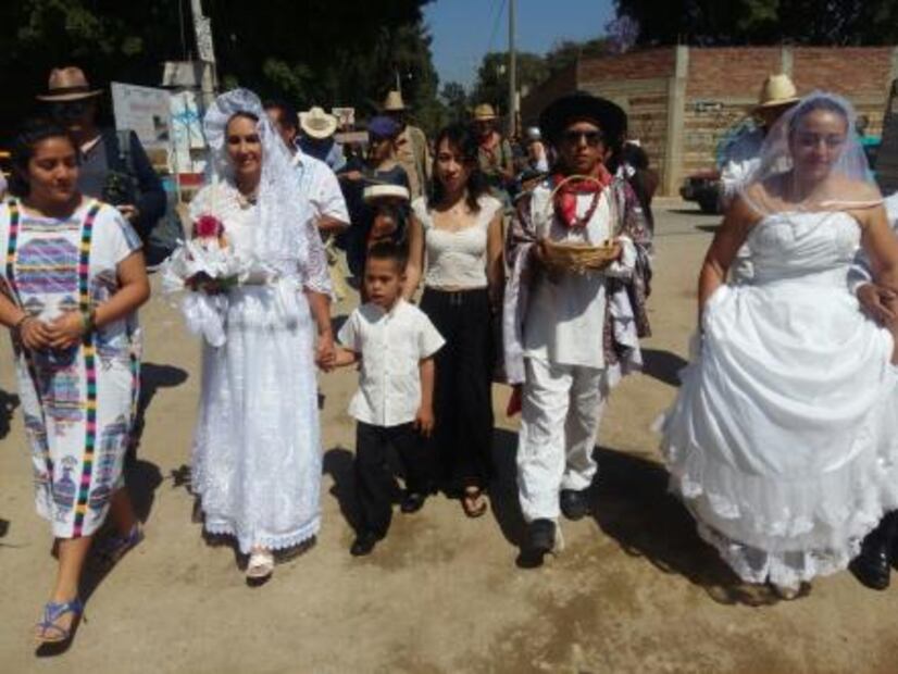 Se casan con árboles para concientizar sobre el medio ambiente
