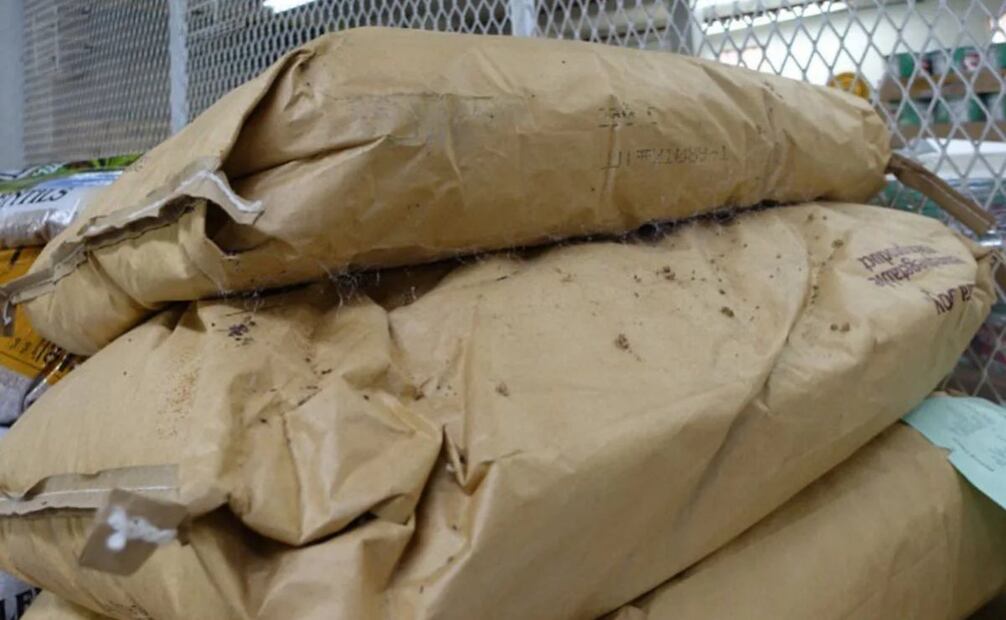 Se encontraron excrementos de roedores en sacos de comida. (27/07/) Foto: Agencias