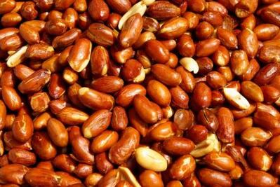 ¿Por qué los cacahuates bailan en la cerveza?; científicos hallan la respuesta