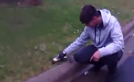 Joven le da primeros auxilios a una ardilla en EU ¡Y la revive!