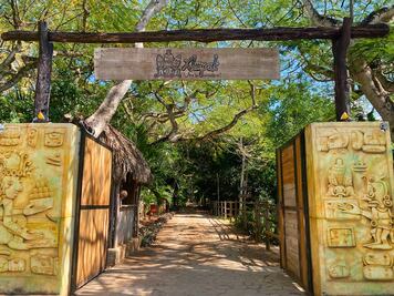 Xkopek en Valladolid: conoce sus cabañas y parque de abejas 