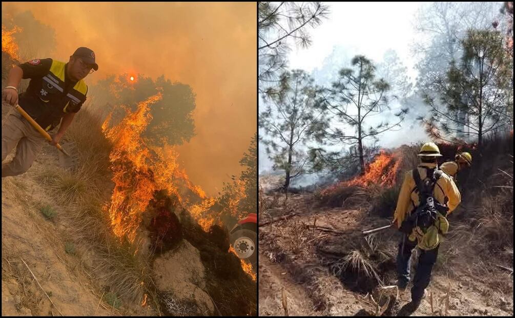 Ejidatarios voluntarios piden apoyo con agua y bombas para sofocar el incendio forestal. Foto: Especial
