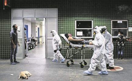 Covid-19: científica de Wuhan identifica  virus mortales