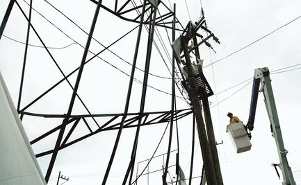 “Plan eléctrico daña imagen del país”