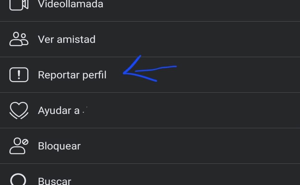 Imagen: captura de pantalla