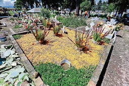 Promueven los panteones ecológicos en el Edomex