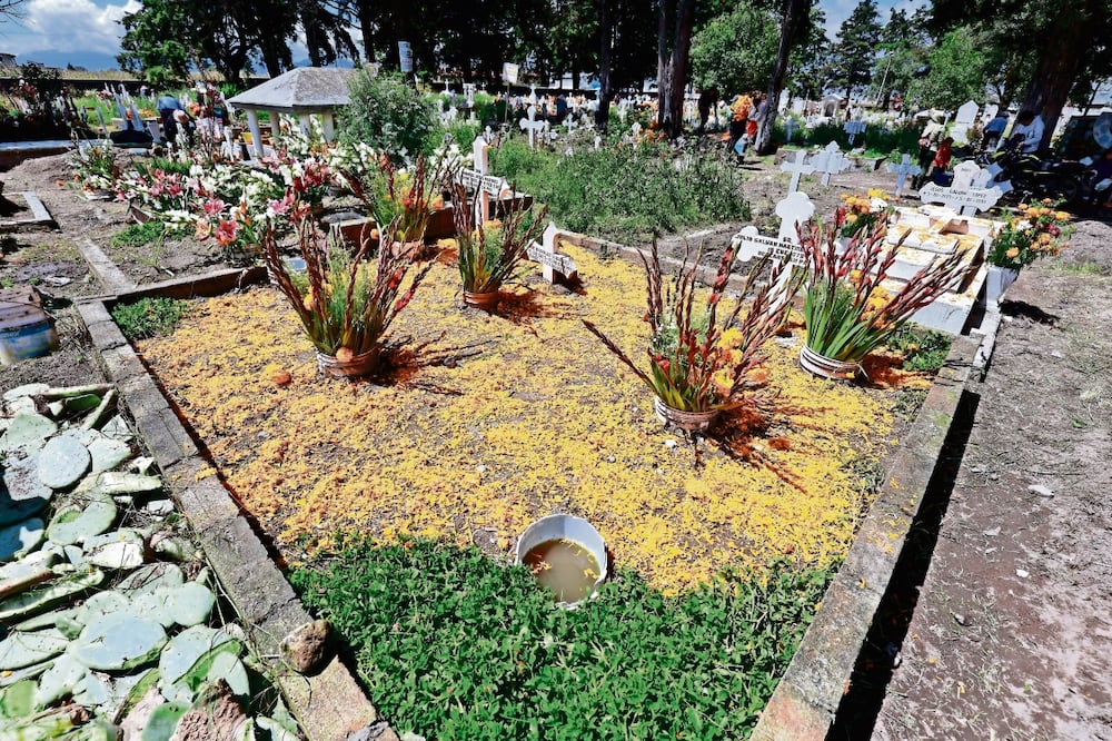 Se fomentan modelos de inhumación sustentables. Foto: Archivo EL UNIVERSAL