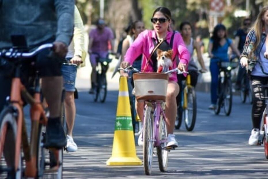 Participan 80 mil ciclistas, patinadores y corredores en primer ciclotón del año