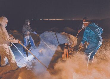 AL y el Caribe con cifras prematuras sobre expectativas de vida