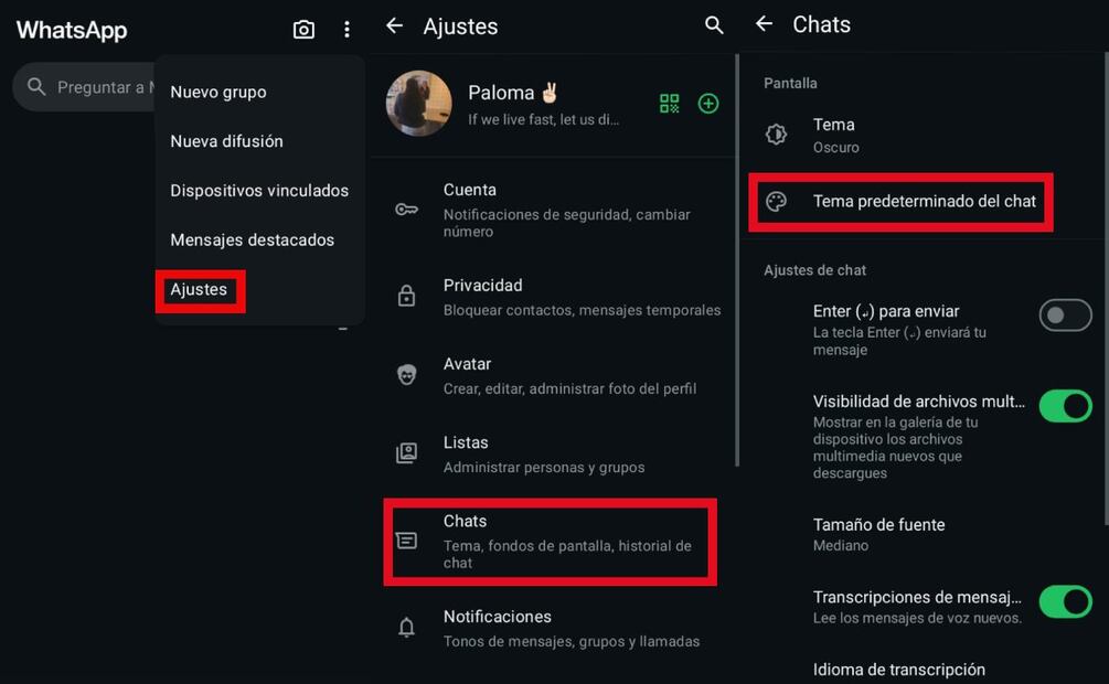 Personalizar WhatsApp. Imagen: captura de pantalla