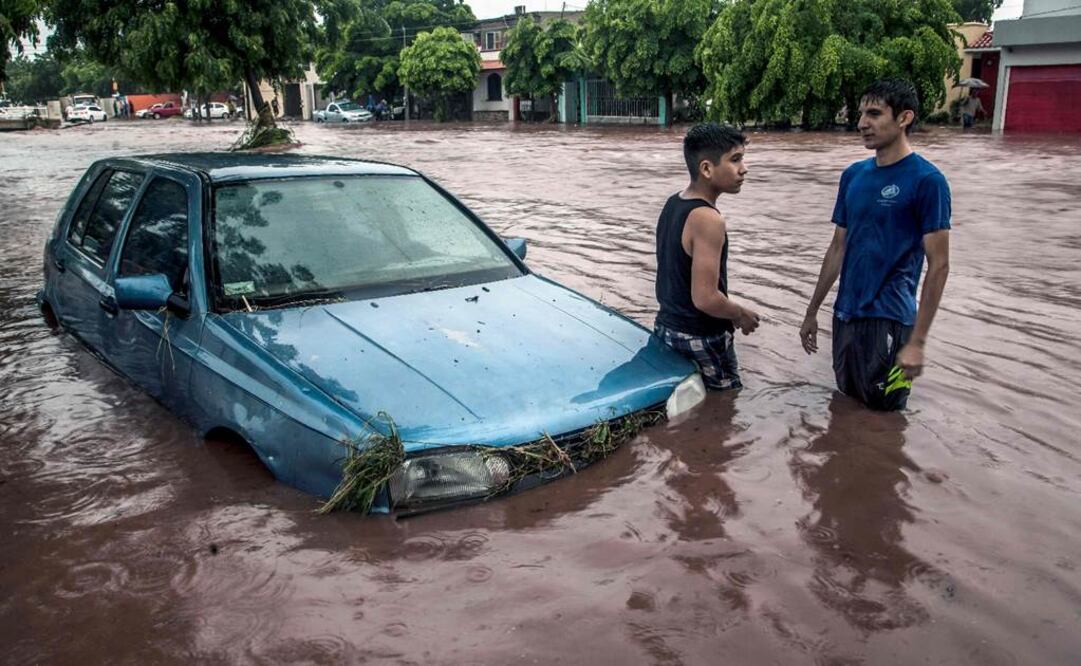 (Photo by RASHIDE FRIAS / AFP)