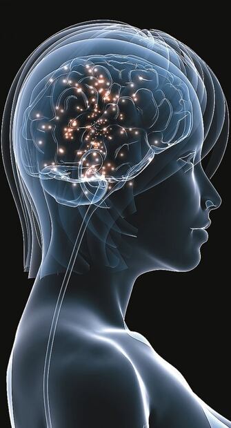 La neurobiología apuesta por desentrañar los misterios del cerebro humano