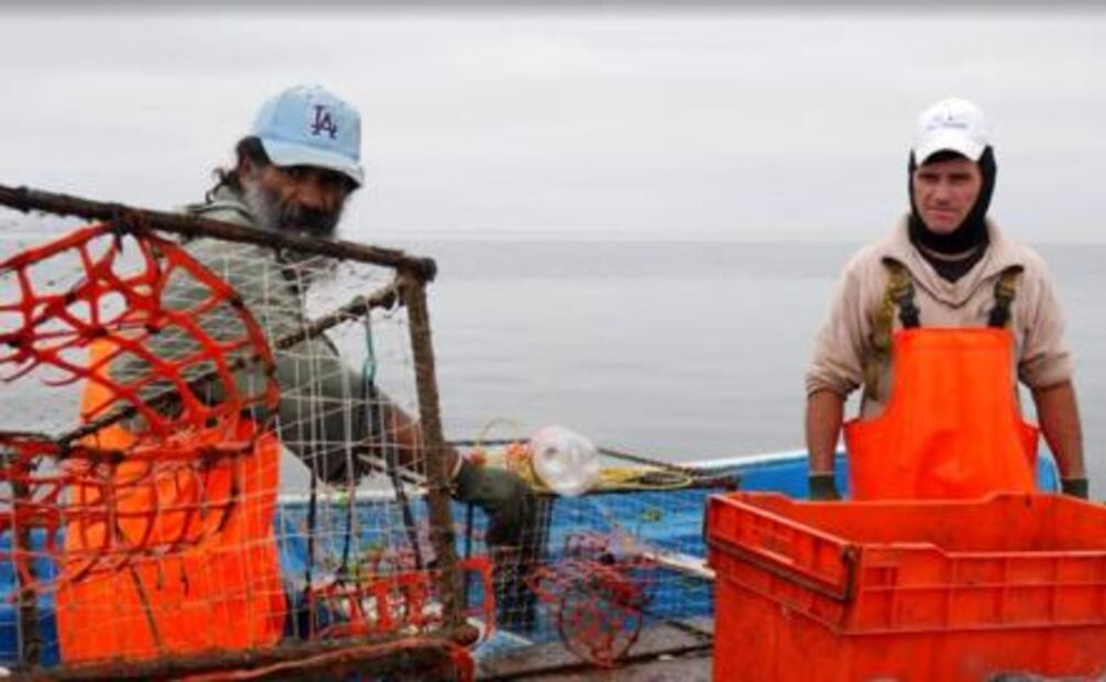 “Bad and ugly,” fishing subsidies