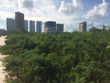 Carlos Joaquín se pronuncia a favor de la protección a Tajamar