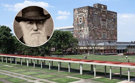 UNAM lanza curso gratis para entender la teoría de la evolución de Charles Darwin: ¿cómo inscribirse?