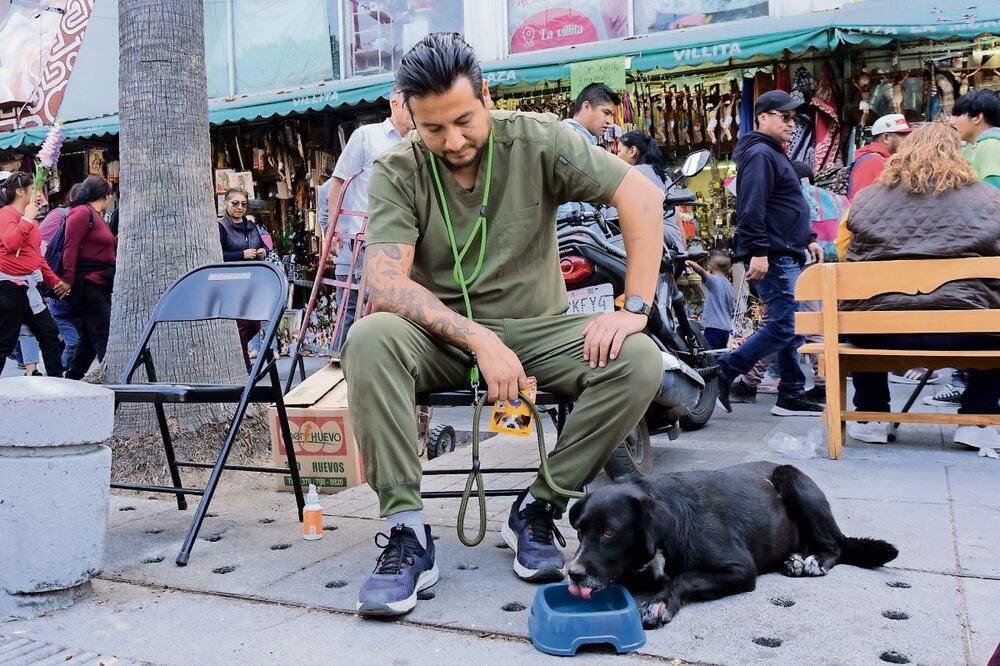 La Agencia de Atención Animal de la CDMX detalló que el año pasado atendieron hasta a 300 canes.
Foto: de OSMAR ALVARADO. EL UNIVERSAL.