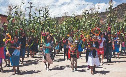 Danzan para agradecer las buenas cosechas
