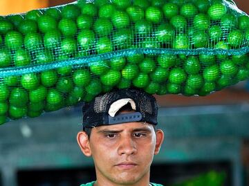 Limón en México: por qué el coste del cítrico alcanzó un “récord histórico” (y cuándo bajará de nuevo)