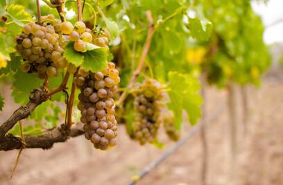 En los valles interandinos