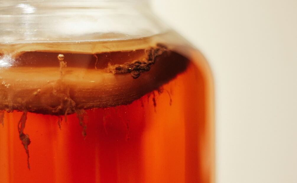 El poder de los fermentos. Foto: Unsplash