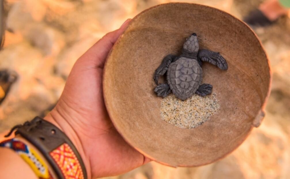 Puerto Escondido: guía de viaje por la costa de Oaxaca