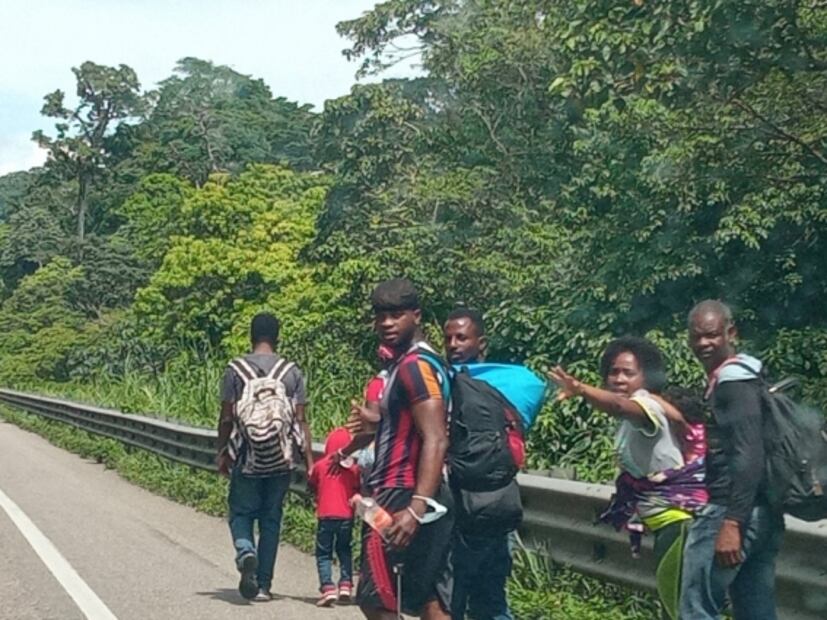 Migración hormiga se abre paso hacia Veracruz