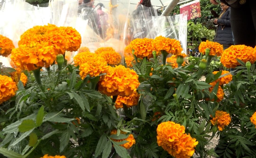 Fotos: Alberto González